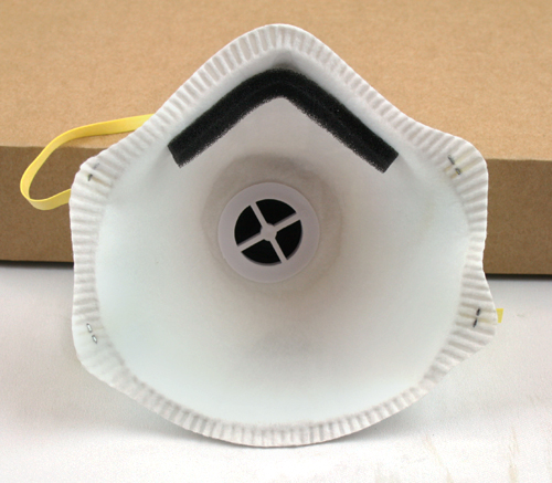 2Pcs Filtered Dust Mask