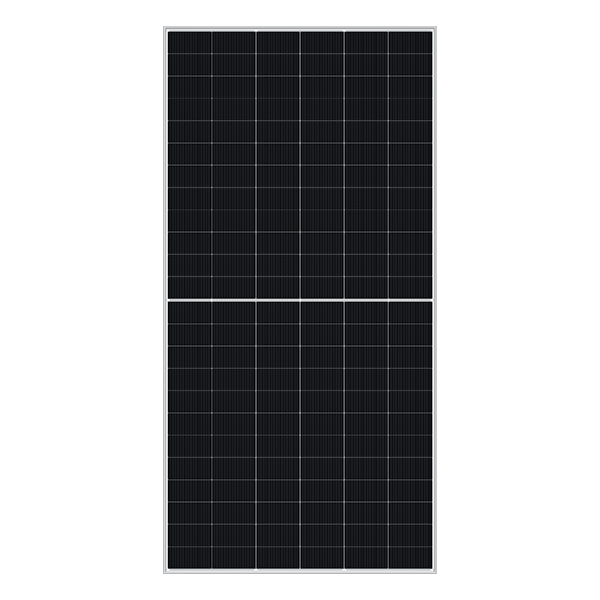 DM580M10T-B72HSW N-type Bifacial - DMEGC