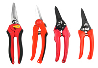 Pruning Shears-straight Blade